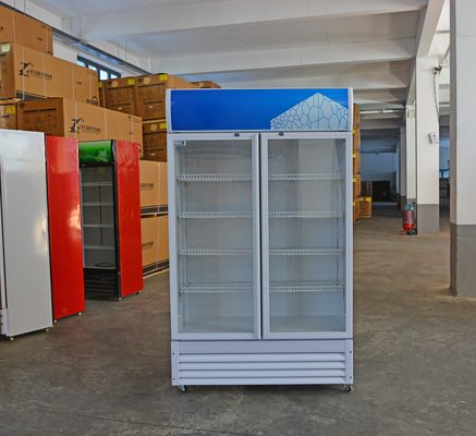 Customized Logo Acceptable 2 Doors Store Drinks Beverage Cooler for Cold Beverages