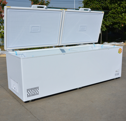 Customer Country Standard Plug Large Capacity Horizontal Double Door Chest Freezer