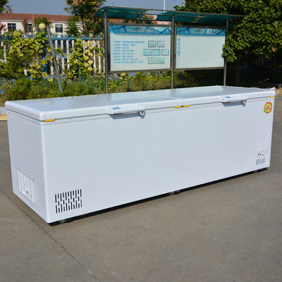 Customer Country Standard Plug Large Capacity Horizontal Double Door Chest Freezer