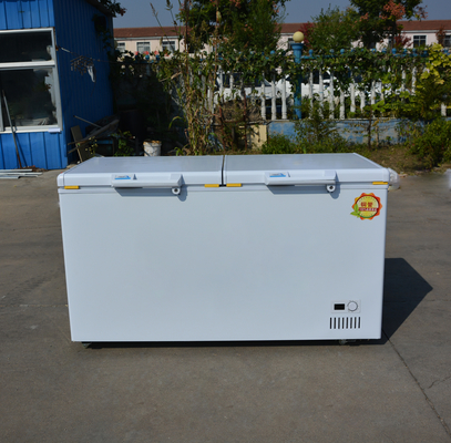 Customer Country Standard Plug Large Capacity Horizontal Double Door Chest Freezer
