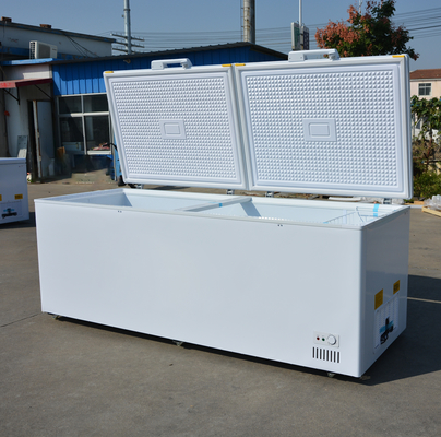 Customer Country Standard Plug Large Capacity Horizontal Double Door Chest Freezer