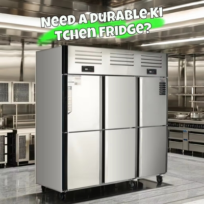 Stainless Steel Refrigeration Equipment for Kitchen 2/3/4/6 Door Refrigerator/Freezer