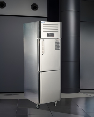 Stainless Steel Reach-In Refrigerator/Vertical Freezer Plug Customer  Standard