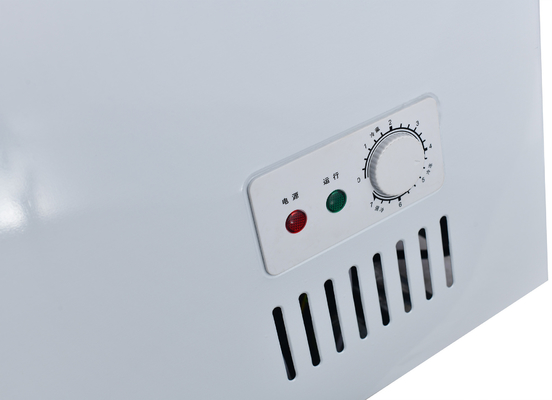 Large Capacity Deep Chest Freezer with 7cm Foam Layer and R600a/R290a Refrigerant