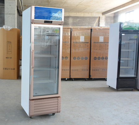 Single-Temperature Vertical 1-Door Showcase Commercial Refrigeration Beverage Cooler