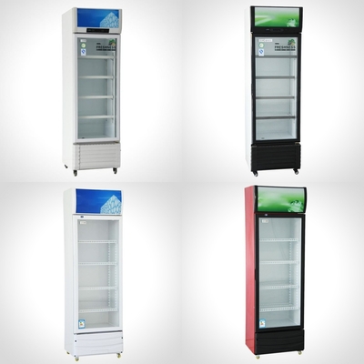 Single-Temperature Vertical 1-Door Showcase Commercial Refrigeration Beverage Cooler