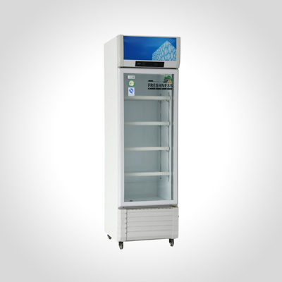 Single-Temperature Vertical 1-Door Showcase Commercial Refrigeration Beverage Cooler