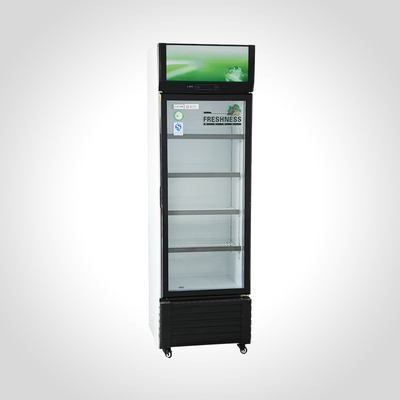 Single-Temperature Vertical 1-Door Showcase Commercial Refrigeration Beverage Cooler