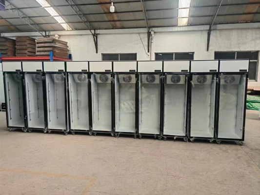 Single-Temperature Vertical 1-Door Showcase Commercial Refrigeration Beverage Cooler