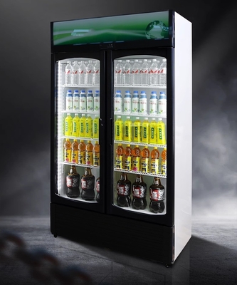 220V-240V/50HZ 60HZ 110V/60HZ Display Cooler 2 Doors Store Drinks Fridge Refrigerator