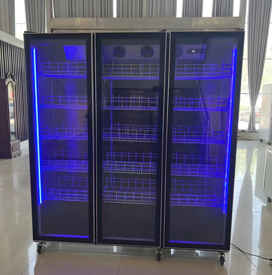 Single-Temperature Capacity or customized Wine Display Refrigerator with LED Lighting