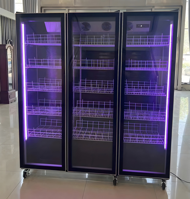 Single-Temperature Capacity or customized Wine Display Refrigerator with LED Lighting