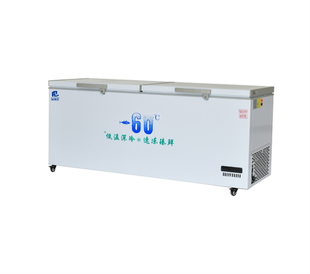 960-2600mm Length Ultra-Low Temperature Freezer for Seafood -45 -60 Degrees Celsius