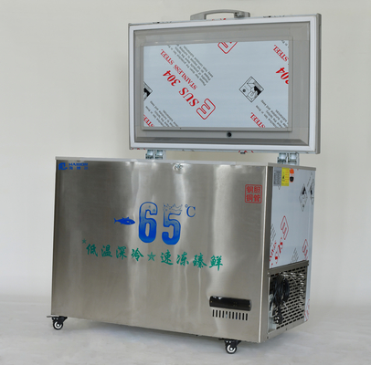 178L-1580L Large Capacity Deep Horizontal Seafood Ultra low Chest Horizontal Freezers