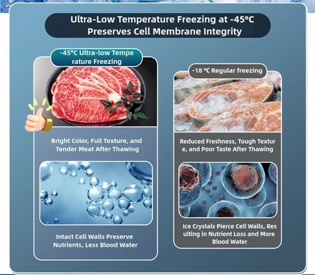 8.5-10cm Foam Layer Ultra-Low Chest Freezer for Large Capacity -60°C Seafood Storage