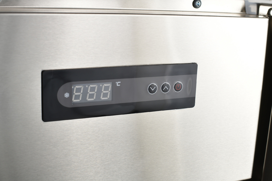 250L Double-Temperature Commercial Under Counter Refrigerator for Restaurant Kitchen